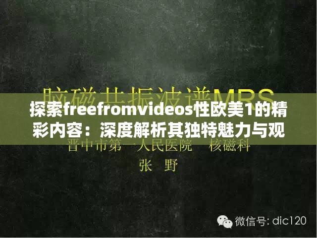 探索freefromvideos性歐美1的精彩內(nèi)容：深度解析其獨(dú)特魅力與觀看體驗(yàn)
