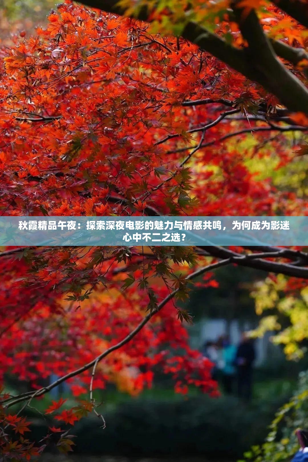 秋霞精品午夜：探索深夜電影的魅力與情感共鳴，為何成為影迷心中不二之選？
