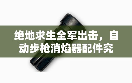 絕地求生全軍出擊，自動步槍消焰器配件究竟有何神秘之處？