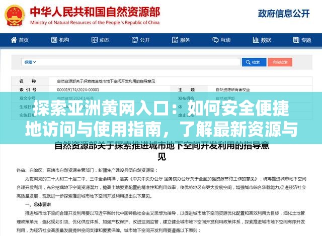 探索亞洲黃網(wǎng)入口：如何安全便捷地訪問(wèn)與使用指南，了解最新資源與技巧