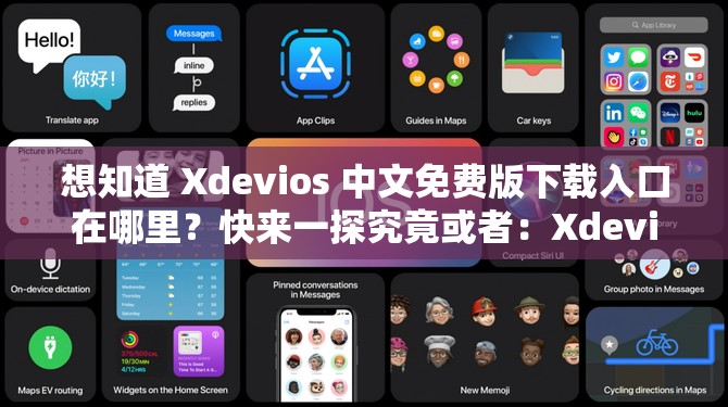 想知道 Xdevios 中文免費版下載入口在哪里？快來一探究竟或者：Xdevios 中文免費版下載入口究竟藏在何處？全網(wǎng)都在找
