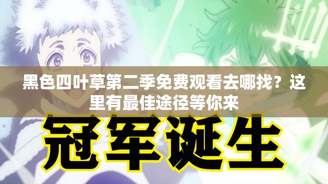 黑色四葉草第二季免費觀看去哪找？這里有最佳途徑等你來