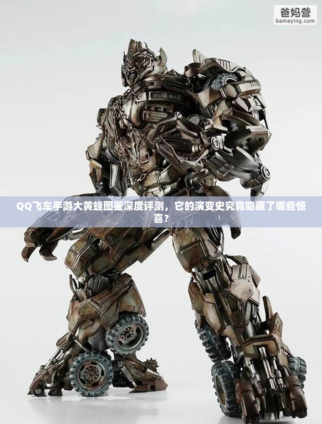 QQ飛車手游大黃蜂圖鑒深度評(píng)測(cè)，它的演變史究竟隱藏了哪些驚喜？