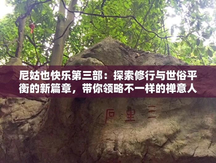 尼姑也快樂第三部：探索修行與世俗平衡的新篇章，帶你領(lǐng)略不一樣的禪意人生