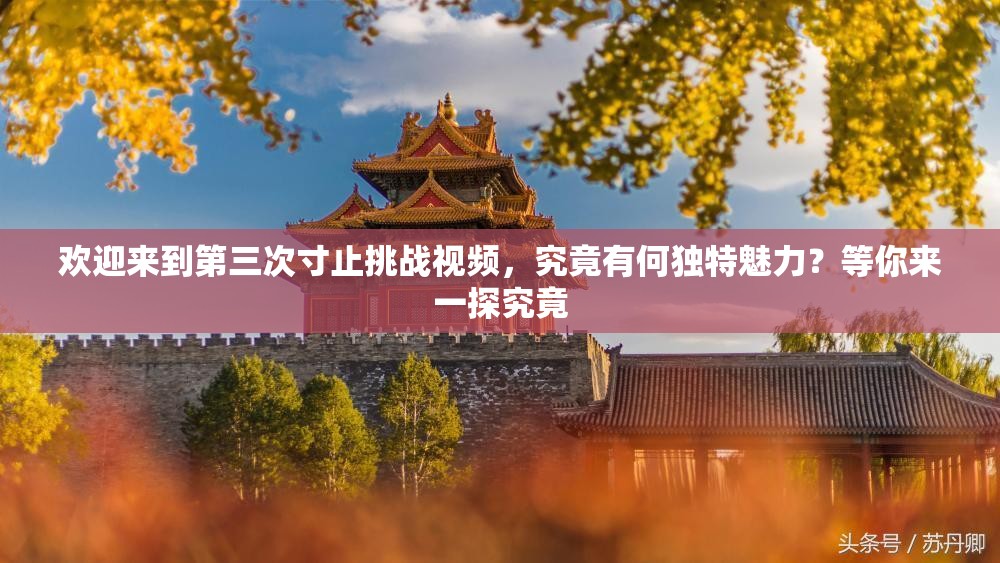 歡迎來到第三次寸止挑戰(zhàn)視頻，究竟有何獨特魅力？等你來一探究竟