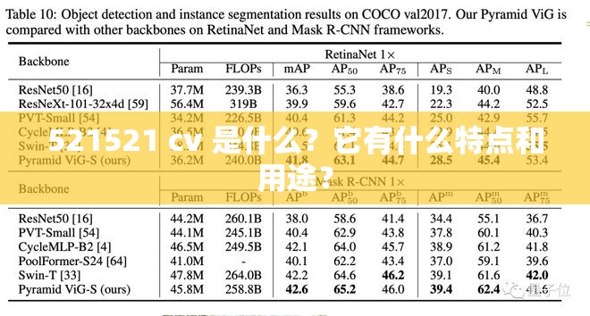 521521 cv 是什么？它有什么特點和用途？