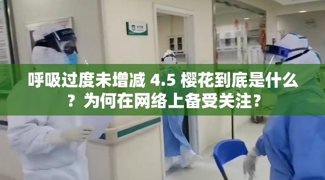 呼吸過度未增減 4.5 櫻花到底是什么？為何在網(wǎng)絡上備受關注？