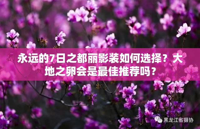 永遠(yuǎn)的7日之都麗影裝如何選擇？大地之卵會(huì)是最佳推薦嗎？