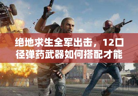 絕地求生全軍出擊，12口徑彈藥武器如何搭配才能制霸戰(zhàn)場？