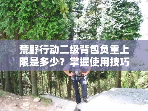 荒野行動二級背包負重上限是多少？掌握使用技巧，或將引領玩法新革命？