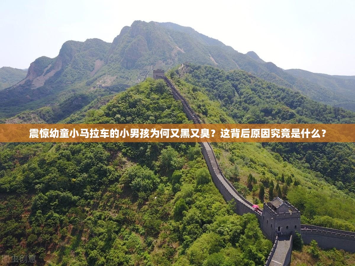 震驚幼童小馬拉車的小男孩為何又黑又臭？這背后原因究竟是什么？