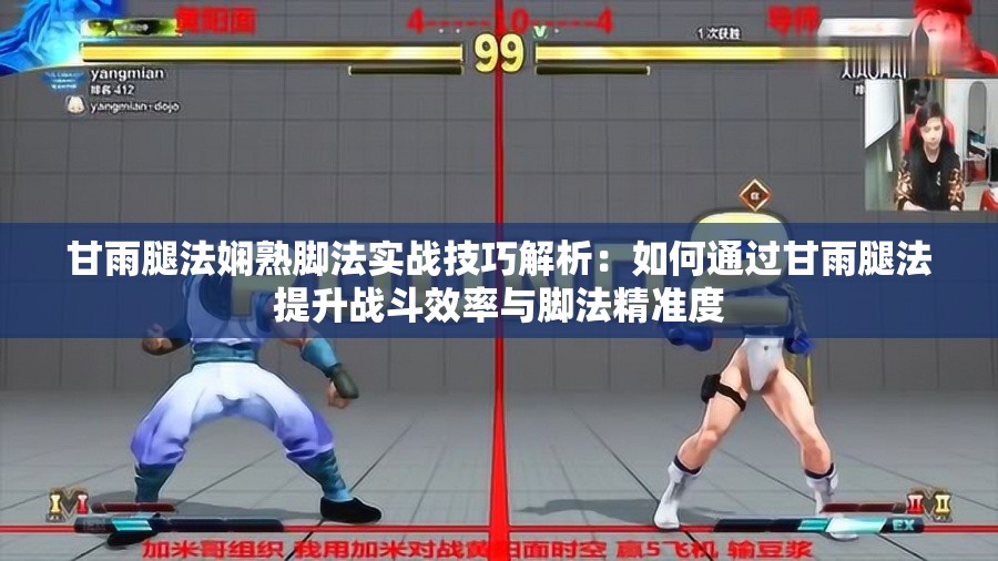 甘雨腿法嫻熟腳法實戰(zhàn)技巧解析：如何通過甘雨腿法提升戰(zhàn)斗效率與腳法精準度