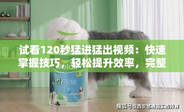 試看120秒猛進猛出視頻：快速掌握技巧，輕松提升效率，完整解析每一步操作