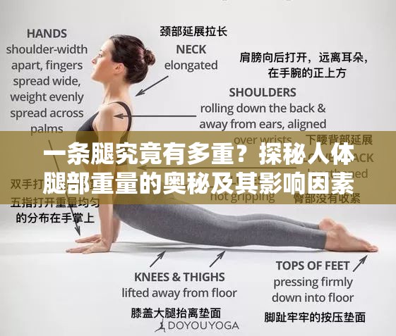 一條腿究竟有多重？探秘人體腿部重量的奧秘及其影響因素或者想知道人的一條腿多重嗎？快來深入了解這背后的有趣知識