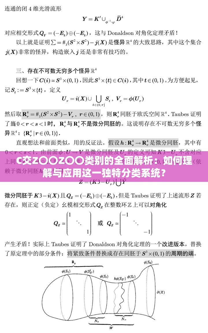 C交Z〇〇Z〇〇類別的全面解析：如何理解與應(yīng)用這一獨(dú)特分類系統(tǒng)？