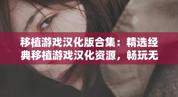移植游戲漢化版合集：精選經(jīng)典移植游戲漢化資源，暢玩無語(yǔ)言障礙的完整游戲體驗(yàn)