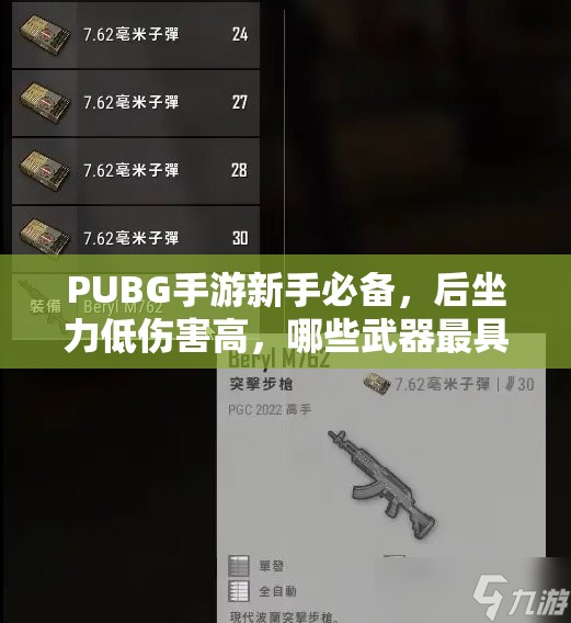 PUBG手游新手必備，后坐力低傷害高，哪些武器最具戰(zhàn)略價(jià)值與實(shí)踐？