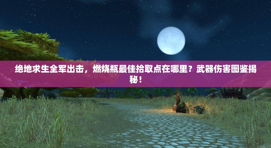 絕地求生全軍出擊，燃燒瓶最佳拾取點(diǎn)在哪里？武器傷害圖鑒揭秘！