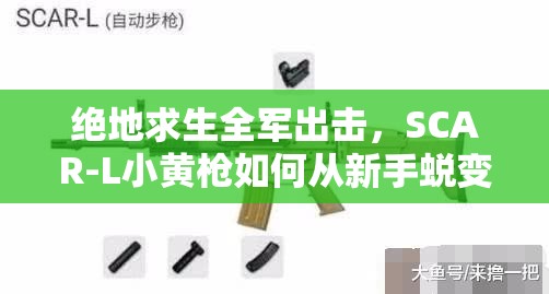 絕地求生全軍出擊，SCAR-L小黃槍如何從新手蛻變精通？全面攻略揭秘！