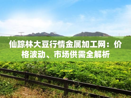仙蹤林大豆行情金屬加工網(wǎng)：價格波動、市場供需全解析