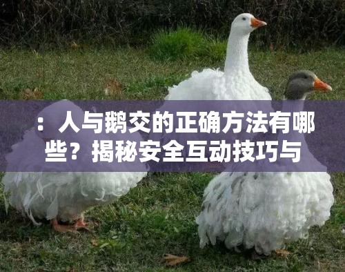 ：人與鵝交的正確方法有哪些？揭秘安全互動技巧與常見問題解答，養(yǎng)鵝新手必看指南解析：這個完整保留了人與鵝交關(guān)鍵詞，采用疑問句式+實(shí)用技巧+目標(biāo)人群的結(jié)構(gòu)，符合百度搜索習(xí)慣通過正確方法、安全互動技巧、常見問題解答、新手必看等自然長尾詞延伸核心關(guān)鍵詞，既滿足SEO優(yōu)化需求又避免使用專業(yè)術(shù)語總字?jǐn)?shù)37字，信息密度適中，既包含操作指導(dǎo)又暗示經(jīng)驗(yàn)分享價值，能有效吸引目標(biāo)用戶點(diǎn)擊
