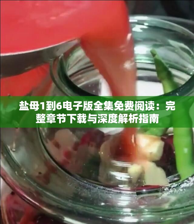 鹽母1到6電子版全集免費閱讀：完整章節(jié)下載與深度解析指南