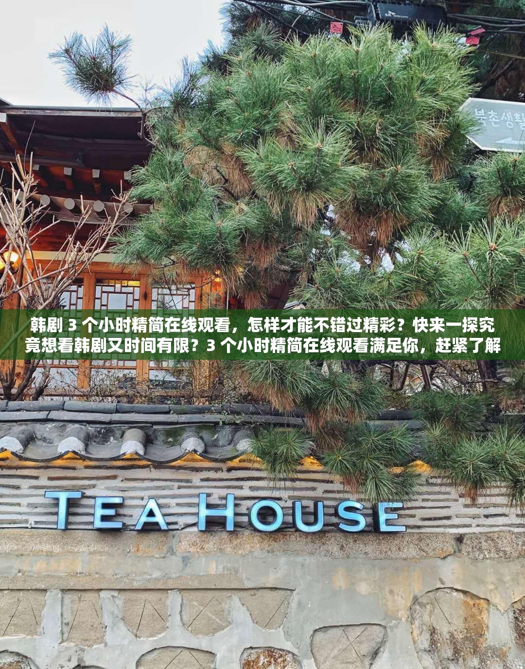 韓劇 3 個小時精簡在線觀看，怎樣才能不錯過精彩？快來一探究竟想看韓劇又時間有限？3 個小時精簡在線觀看滿足你，趕緊了解韓劇 3 個小時精簡在線觀看，這種便捷方式你知道多少？進來瞧瞧3 個小時精簡在線觀看韓劇，精彩內容如何快速盡收眼底？點這里