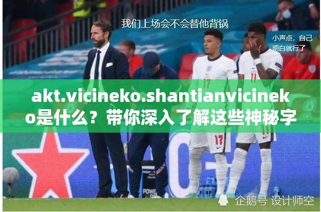 akt.vicineko.shantianvicineko是什么？帶你深入了解這些神秘字符的含義與背后故事