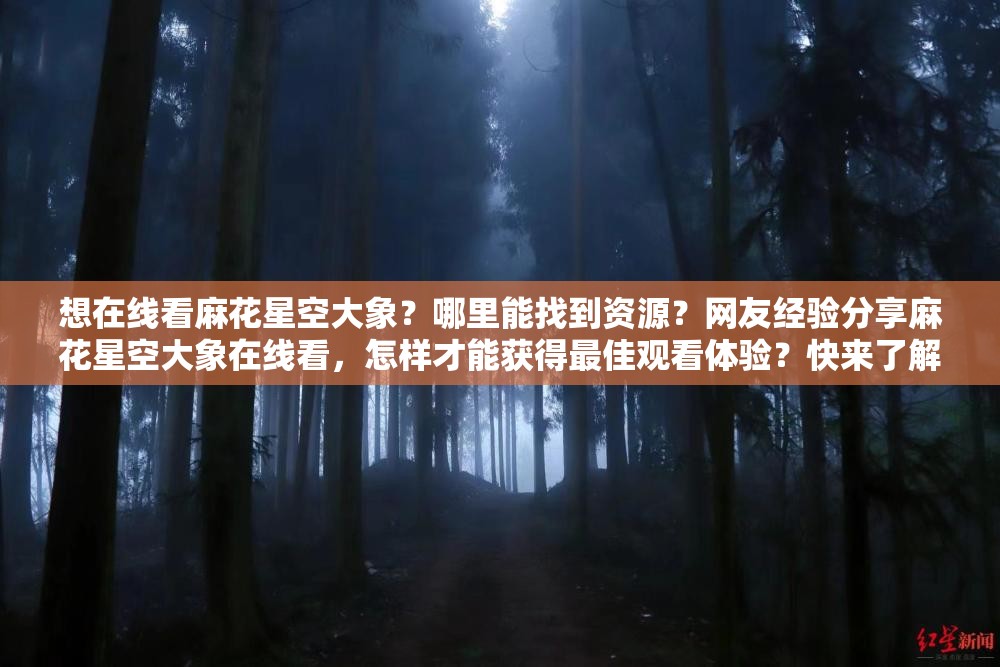 想在線看麻花星空大象？哪里能找到資源？網(wǎng)友經(jīng)驗(yàn)分享麻花星空大象在線看，怎樣才能獲得最佳觀看體驗(yàn)？快來了解麻花星空大象在線看，究竟有哪些精彩看點(diǎn)不容錯(cuò)過？速看