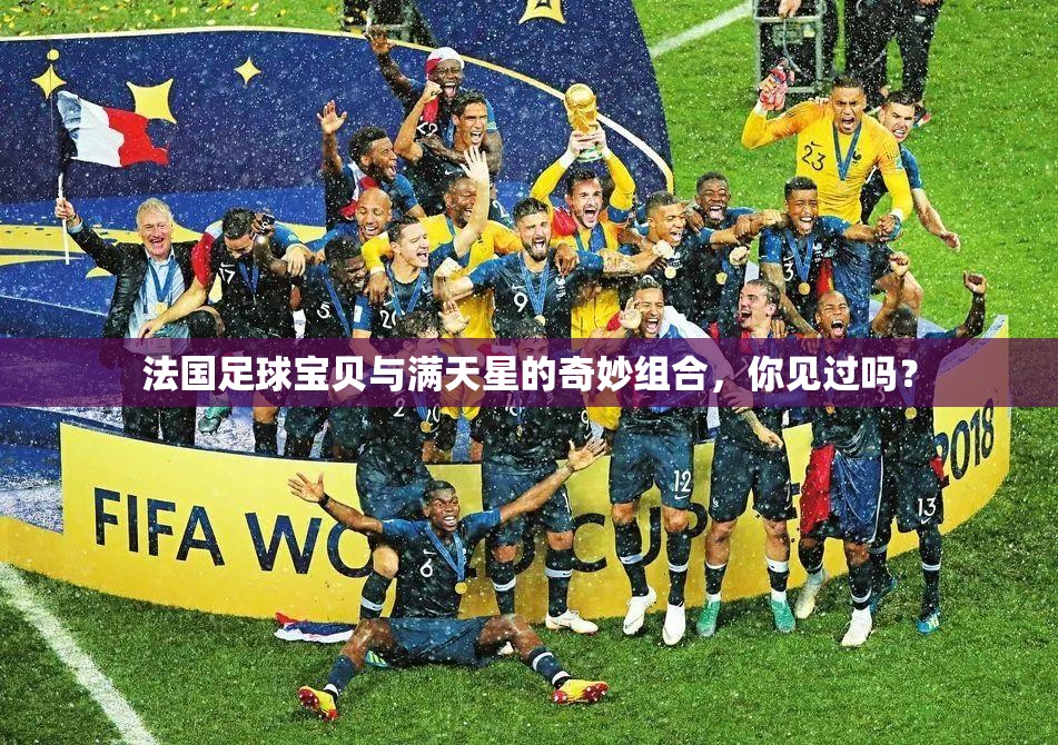 法國(guó)足球?qū)氊惻c滿天星的奇妙組合，你見(jiàn)過(guò)嗎？