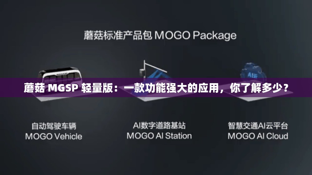 蘑菇 MGSP 輕量版：一款功能強(qiáng)大的應(yīng)用，你了解多少？