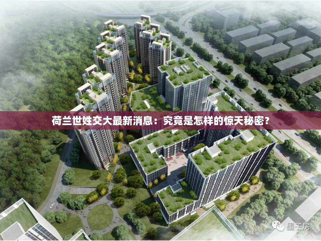 荷蘭世姓交大最新消息：究竟是怎樣的驚天秘密？