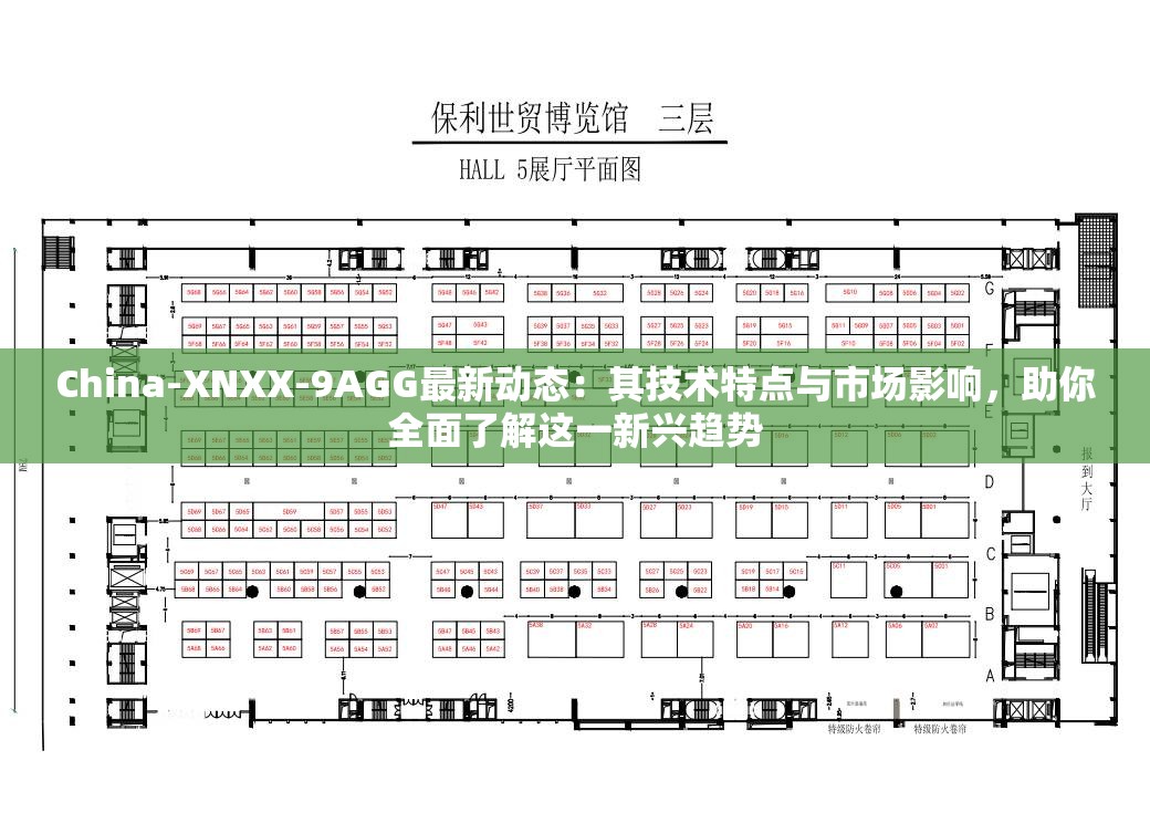 China-XNXX-9AGG最新動態(tài)：其技術(shù)特點與市場影響，助你全面了解這一新興趨勢