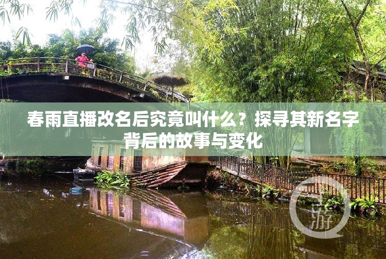 春雨直播改名后究竟叫什么？探尋其新名字背后的故事與變化