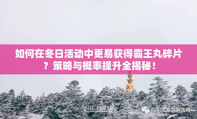 如何在冬日活動中更易獲得霸王丸碎片？策略與概率提升全揭秘！