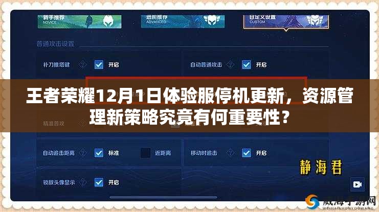 王者榮耀12月1日體驗服停機更新，資源管理新策略究竟有何重要性？