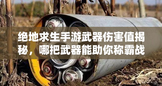 絕地求生手游武器傷害值揭秘，哪把武器能助你稱霸戰(zhàn)場？