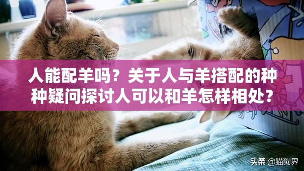 人能配羊嗎？關(guān)于人與羊搭配的種種疑問探討人可以和羊怎樣相處？關(guān)于人與羊關(guān)系的思考人能否與羊進行某種特殊的結(jié)合？引發(fā)好奇的相關(guān)探討