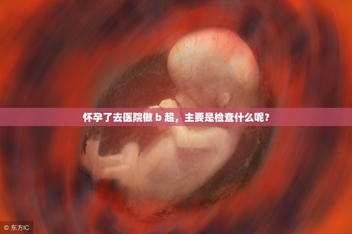 懷孕了去醫(yī)院做 b 超，主要是檢查什么呢？