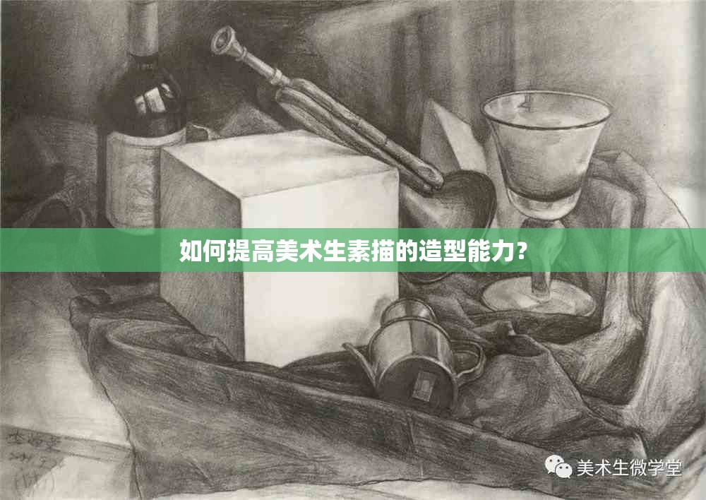 如何提高美術(shù)生素描的造型能力？