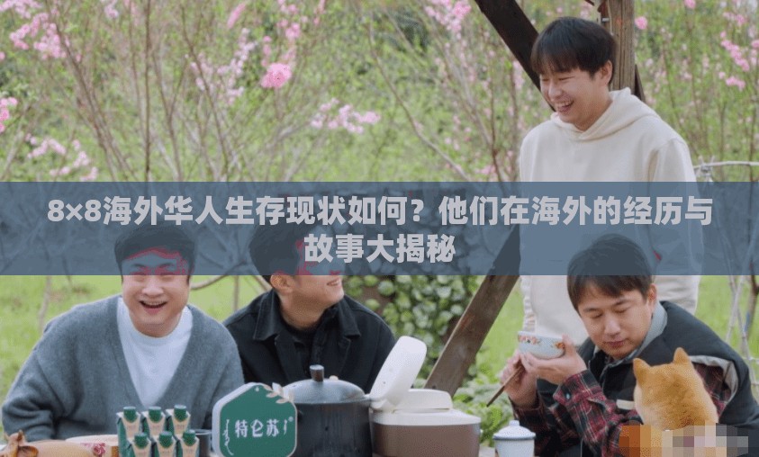 8×8海外華人生存現狀如何？他們在海外的經歷與故事大揭秘