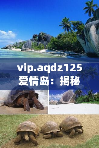 vip.aqdz125愛(ài)情島：揭秘浪漫島嶼的獨(dú)特魅力與最佳旅行攻略