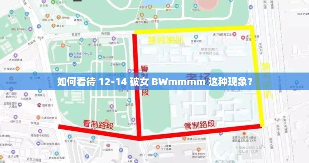 如何看待 12-14 破女 BWmmmm 這種現(xiàn)象？