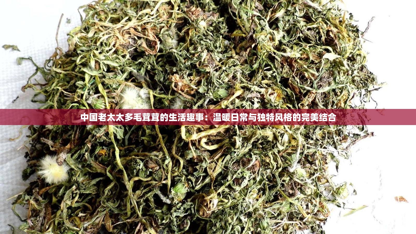 中國老太太多毛茸茸的生活趣事：溫暖日常與獨特風格的完美結(jié)合
