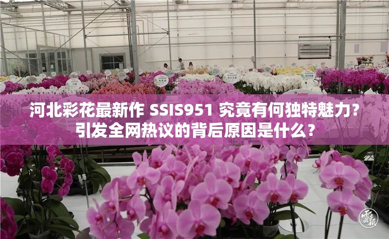 河北彩花最新作 SSIS951 究竟有何獨特魅力？引發(fā)全網熱議的背后原因是什么？