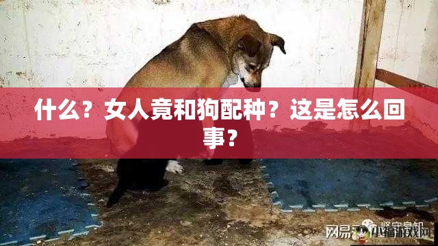 什么？女人竟和狗配種？這是怎么回事？