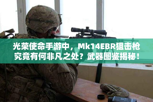 光榮使命手游中，Mk14EBR狙擊槍究竟有何非凡之處？武器圖鑒揭秘！