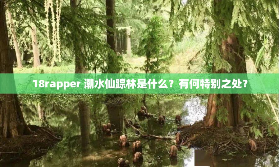 18rapper 潮水仙蹤林是什么？有何特別之處？
