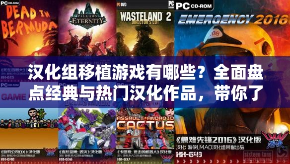 漢化組移植游戲有哪些？全面盤點經(jīng)典與熱門漢化作品，帶你了解漢化組背后的故事與游戲移植的奇妙旅程