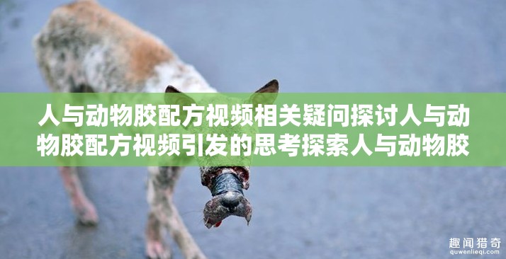 人與動(dòng)物膠配方視頻相關(guān)疑問(wèn)探討人與動(dòng)物膠配方視頻引發(fā)的思考探索人與動(dòng)物膠配方視頻背后的奧秘關(guān)于人與動(dòng)物膠配方視頻的種種疑問(wèn)深入了解人與動(dòng)物膠配方視頻的要點(diǎn)剖析人與動(dòng)物膠配方視頻的關(guān)鍵之處解讀人與動(dòng)物膠配方視頻的獨(dú)特之處人與動(dòng)物膠配方視頻帶來(lái)的諸多疑惑探尋人與動(dòng)物膠配方視頻的神秘面紗